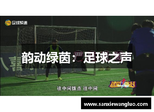 韵动绿茵：足球之声