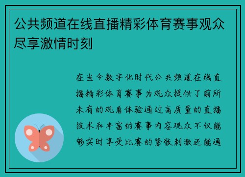 公共频道在线直播精彩体育赛事观众尽享激情时刻