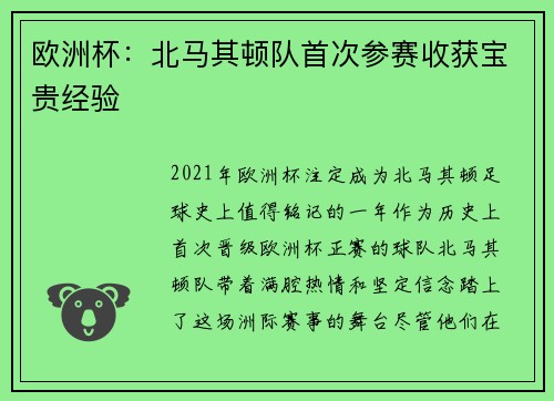 欧洲杯：北马其顿队首次参赛收获宝贵经验